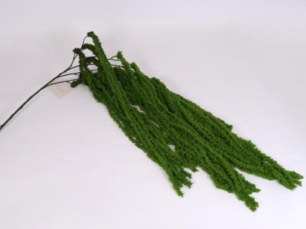 Dirbtinis amarantas GR