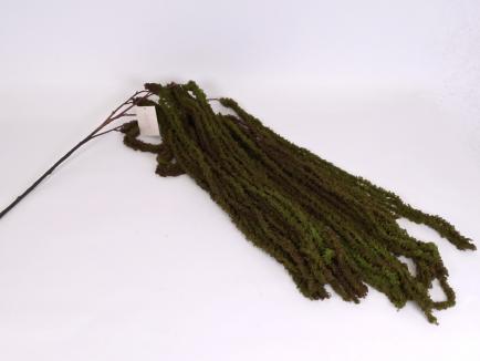 Dirbtinis amarantas GRBR