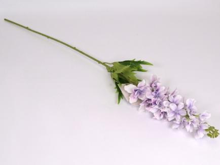 Delfiniumo šaka LTPU