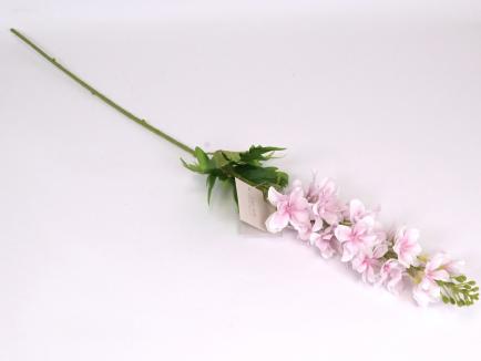 Delfiniumo šaka WHPK