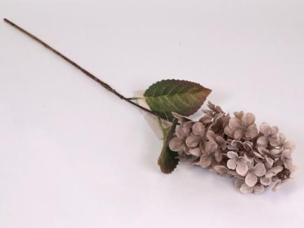 Hortenzijos šakelė