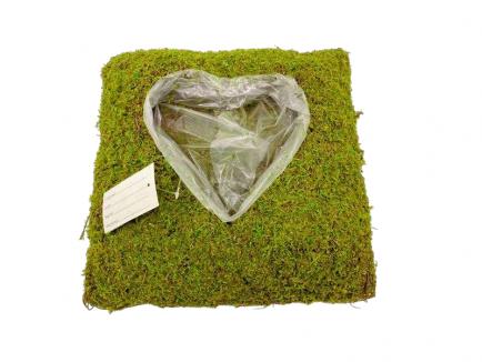 Pintas indas - širdis samanota