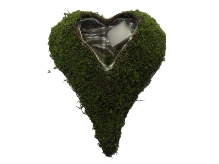 Pinta širdis samanota