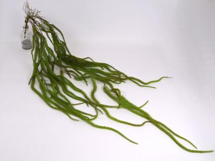 Dirbtinė svyranti žaluma