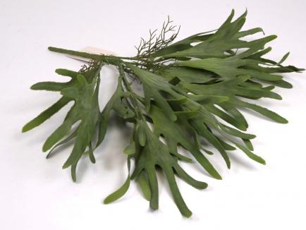 Dirbtinis žalumos krūmelis