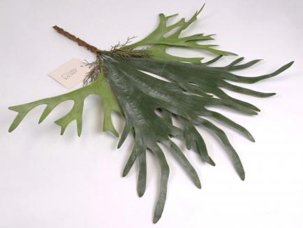 Dirbtinė žaluma - elniaragis