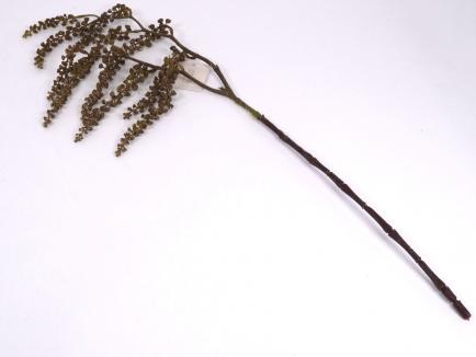 Dirbtinė žalumos šaka