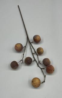 Dirbtiniai vaisiai ant šakos