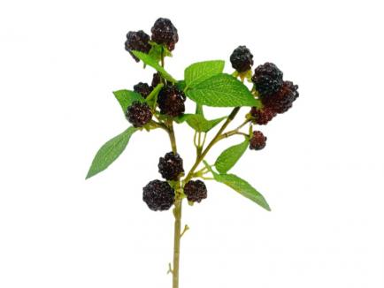 Dirbtinė gervuogės šakelė