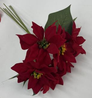 Kalėdinė puansetijos puokštė