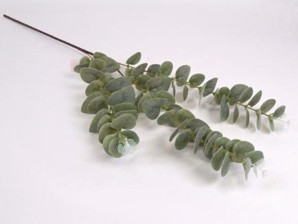 Dirbtinė žalumos šaka - eukaliptas