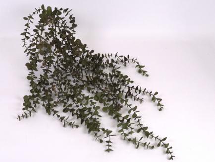 Dirbtinė svyranti žalumos šaka