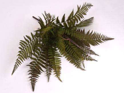 Dirbtinės žalumos krūmelis - papartis