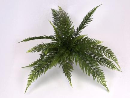 Dirbtinės žalumos krūmelis - papartis