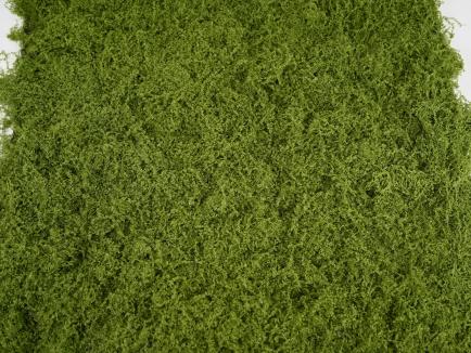 Samamų kilimas LTGR