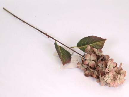 Hortenzijos šakelė