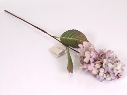 Hortenzijos šakelė