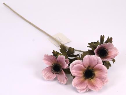Anemonas DRYPK