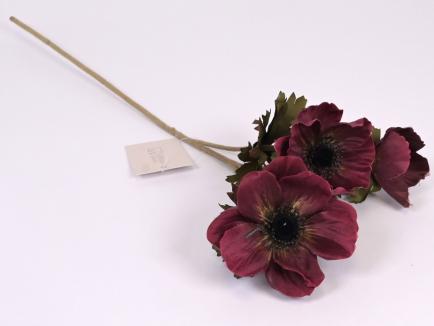 Anemonas