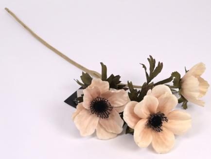 Anemonas