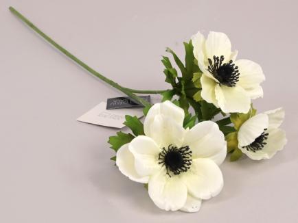 Anemonas