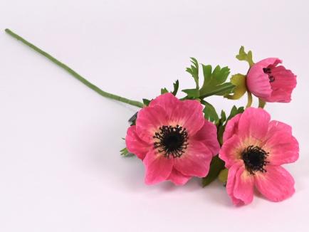 Anemonas