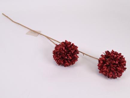Kalėdinė gėlė