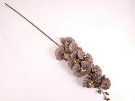 Orchidėjos šaka DKPU-5