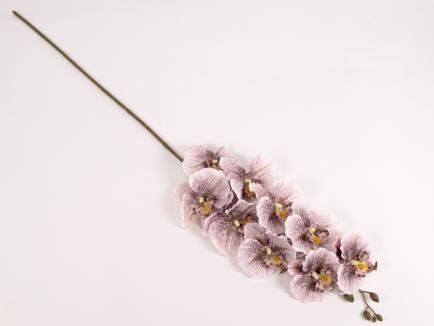 Orchidėjos šaka