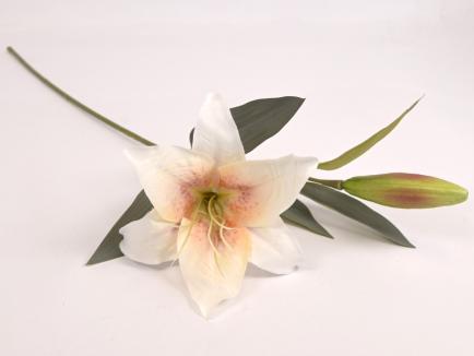 Lelijos šaka